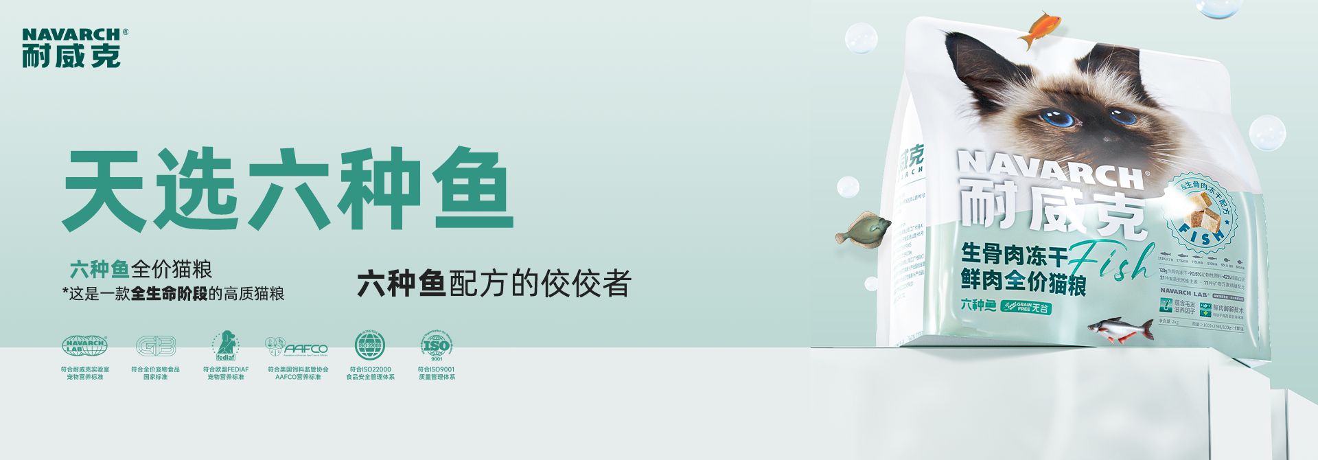 首頁(yè)Banner2